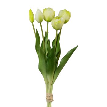 Gefüllte Tulpen 5er Bund, 39 cm, weiß