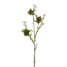 Lichen Branch, 87 cm