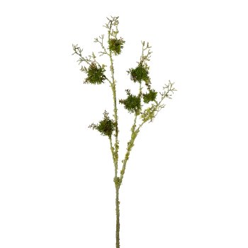 Lichen Branch, 107 cm Lichen