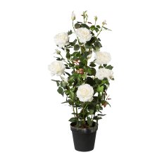 Rose Tree, 112 cm, White