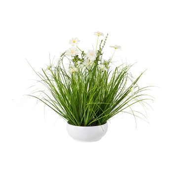 Grass with Cosmea In Bowl, 40