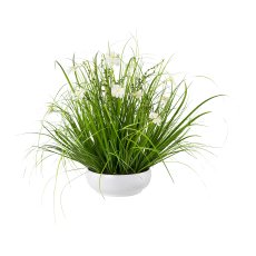 Gras mit Cosmea in Schale, 45 cm, weiß