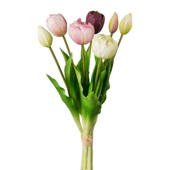 Gefüllte Tulpen 7er Bund, 39 cm, rosa mix