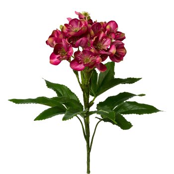 Christmas Rose x 19, 60cm, Pink