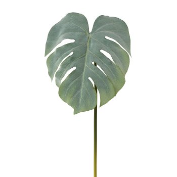 Splitphilo Leaf, 81cm, Grey
