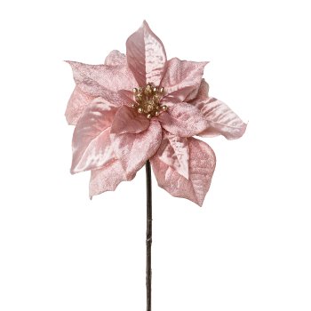 Poinsettia velvet, 50cm, pink