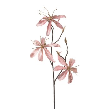 Gloriosa Velvet, 68cm, pink