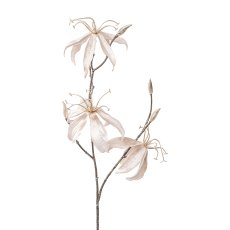 Gloriosa Velvet, 68 cm, grau