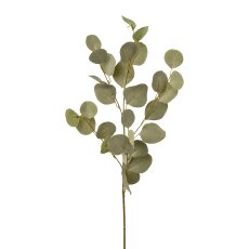 Eukalyptuszweig, 90 cm, grau,