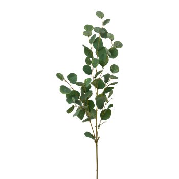 Eukalyptuszweig, 115cm, grün