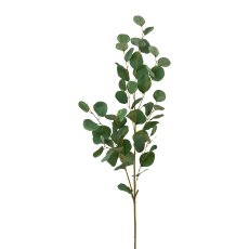 Eukalyptuszweig, 115 cm, grün