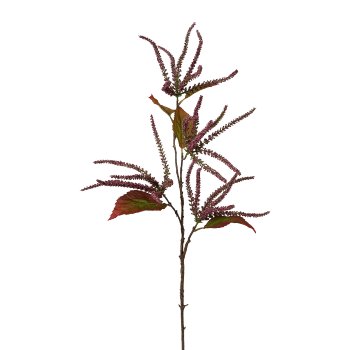 Amaranthus 1/Poly, 86cm, Erica