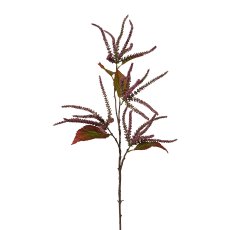 Amaranthus 1/Poly, 86cm, erika