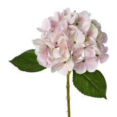 Hortensie , 48 cm, rosa