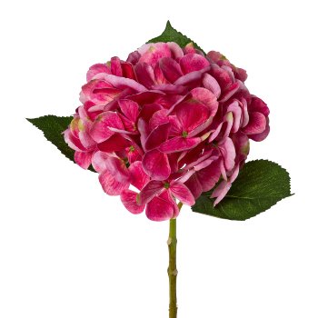Hortensie, 48cm, pink