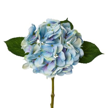 Hydrangea, 48cm, blue