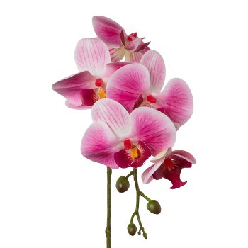Phalaenopsis x 5, 45cm, Pink, Real Touch