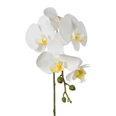 Phalaenopsis x 5, 45cm, white, Real Touch