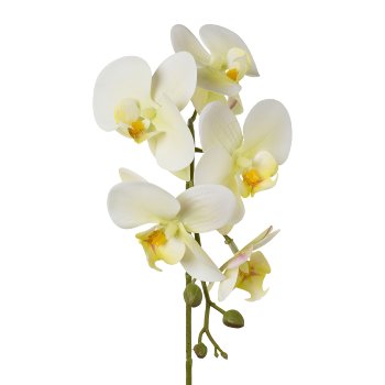 Phalaenopsis x5, 45cm, grün, Real Touch