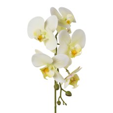 Phalaenopsis x 5, 45cm, green, Real Touch