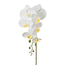 Phalaenopsis x 7, 86cm, white, Real Touch