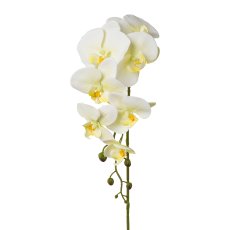 Phalaenopsis x 7, 86cm, green, Real Touch