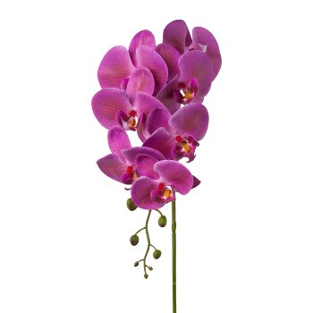 Phalaenopsis x7, 86cm, lila, Real Touch