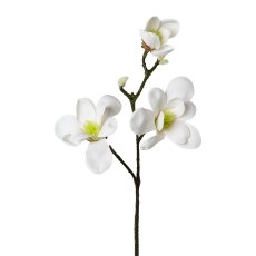 Magnolia x 3, 60cm, White, Real Touch