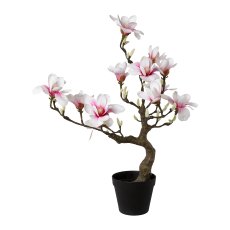 Magnolia Tree, 71cm, Pink, Real Touch