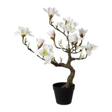 Magnolia Tree, 71cm, White, Real Touch