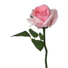 Rose Kurzstil, 32cm, rosa,