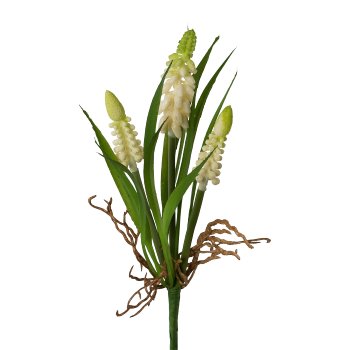 Muscari bush, 22cm, cream