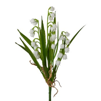 Lily Of The Valley bush, 23cm, white