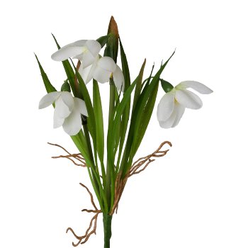 Snowdrop bush, 21cm, white