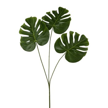 Split Philo leaf x3, 71cm, green