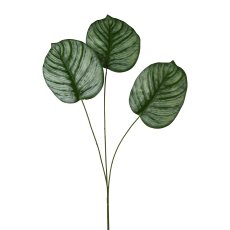 Calathea Leaf x 3, 72 cm