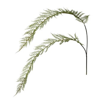 Fern frond x 2, 110cm