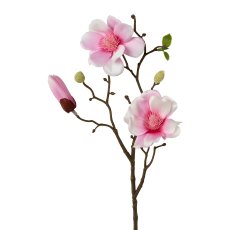 Magnolia, 43 cm, Pink