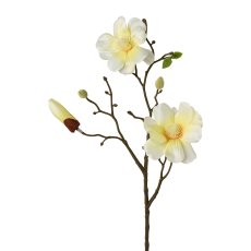 Magnolia, 43cm, Light Yellow