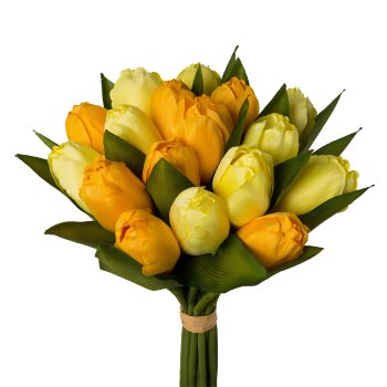 Tulip bunch x18, 28cm, yellow