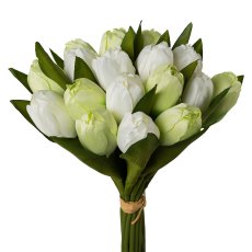 Tulpenbund x 18, 28cm, weiß-grün