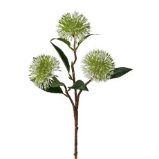 Hedera Twig, 59 cm,