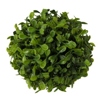 Boxwood ball, 12cm, green