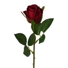 Rose, 45 cm, rot