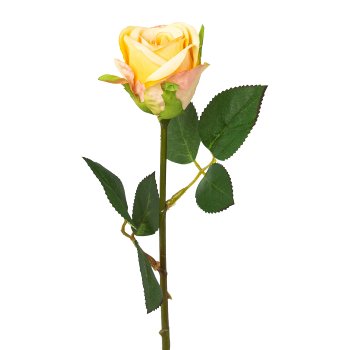 Rose, 45cm, yellow