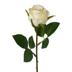 Rose, 45cm, cream
