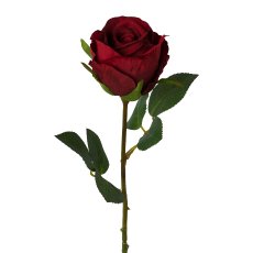 Rose, 45 cm, rot