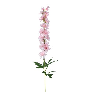 Larkspur, 90cm, Pink