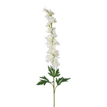 Larkspur, 90cm, White