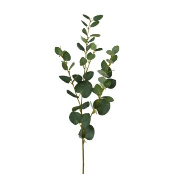 Eukalyptuszweig, 79cm,grün